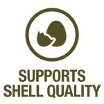 shell quality